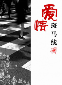 趣夜电视剧免费观看